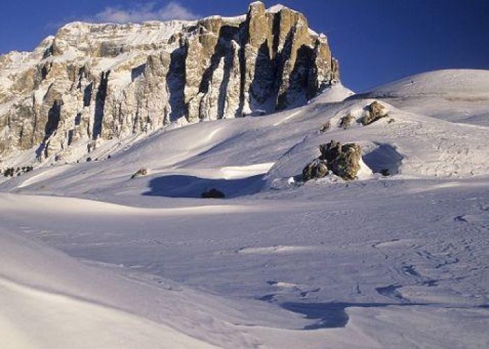 Incidenti montagna/ Valanga Adamello: gravissimi 2 scialpinisti