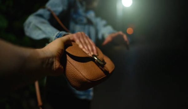 Thief snatches bag from woman on the night street