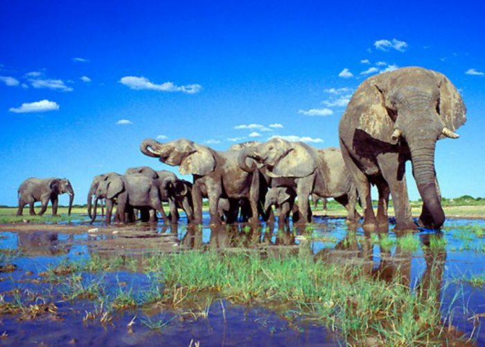 L'Africa dei grandi spazi in fotografia