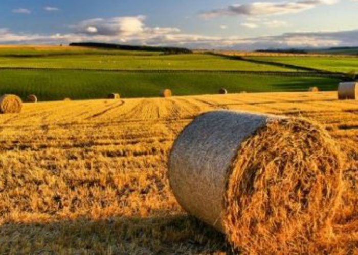 L'Alto Astigiano ricorre al Tarcontro l'Imu agricola