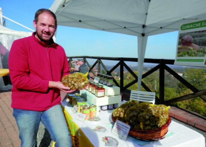 La Chiocciola golosa, un allevamentodi lumache nel centro di Vaglio Serra