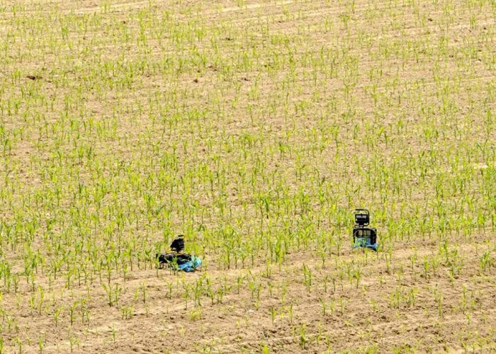 La lotta vinta di un agricoltore di Asti:luci, musica a tutto volume e rumori