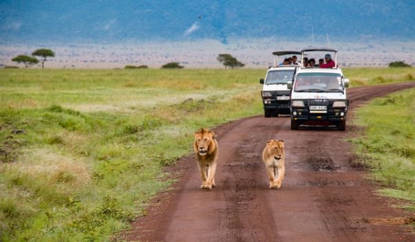 viaggio Kenya