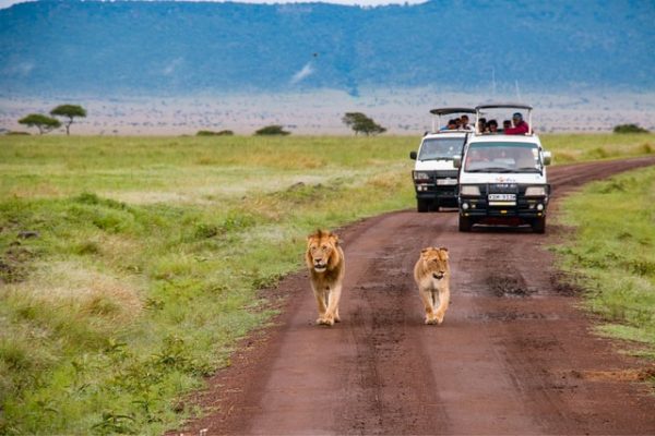 viaggio Kenya