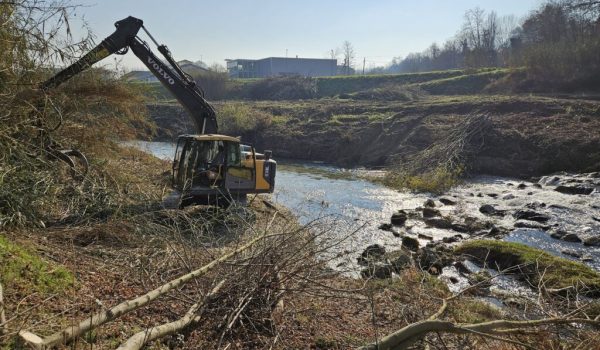 lavori nel borbore