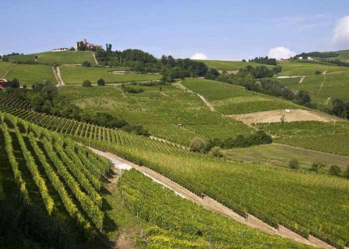 Le colline canellesi a Berlinoper allettare i turisti del Nord