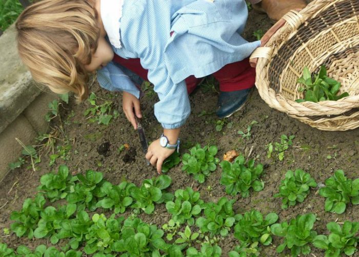 Lo Slow Food Day tra "orto in condotta"e aperitivi a chilometro zero