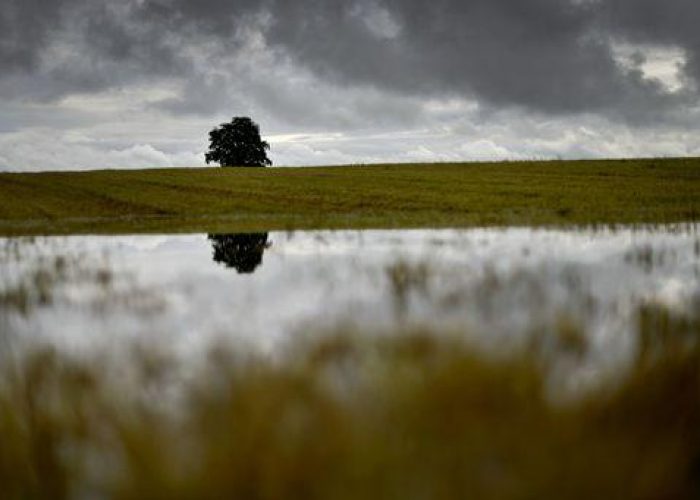 Maltempo/ Campagne sott'acqua, - 30% raccolti al Nord