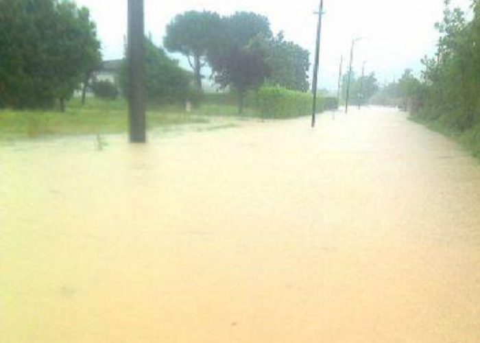 Maltempo/ Coldiretti: Po esonda a Piacenza, campi allagati