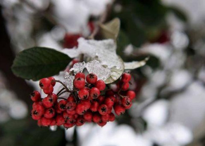 Maltempo/ Fine settimana sotto il segno del freddo