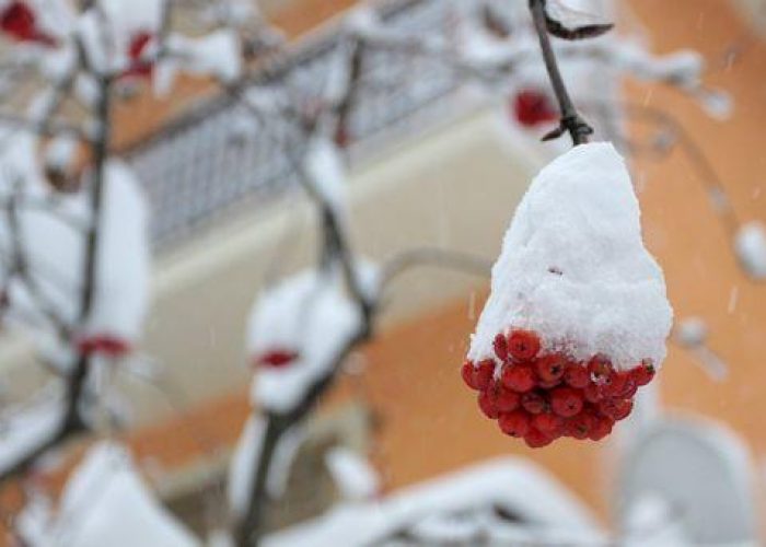 Maltempo/ Neve e gelo in Liguria: imbiancata anche Genova