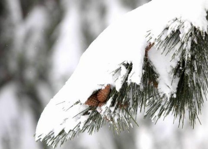 Maltempo/ Oggi 'nevicata perfetta', domani tempo migliora