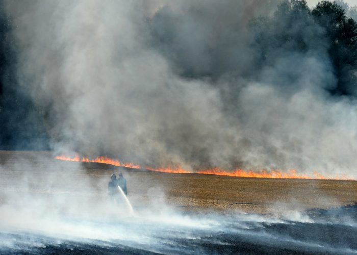 Maxi incendio in un campo di granoAlte colonne di fumo in periferia