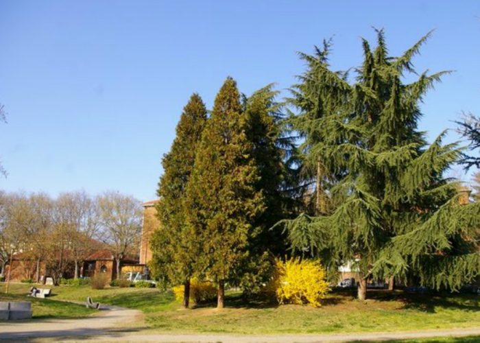 Meteo avverso, rinviata la prima tappa della manifestazione "Sport nel parco"
