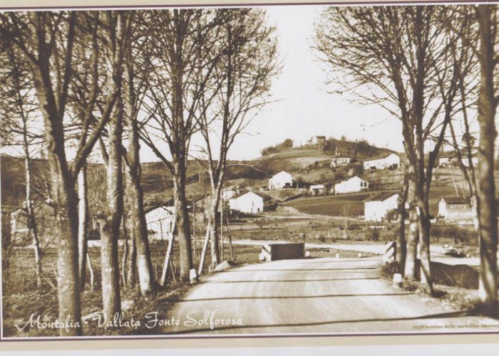Montafia, spunta un atto storico: quello dei tigli era un viale dei Caduti