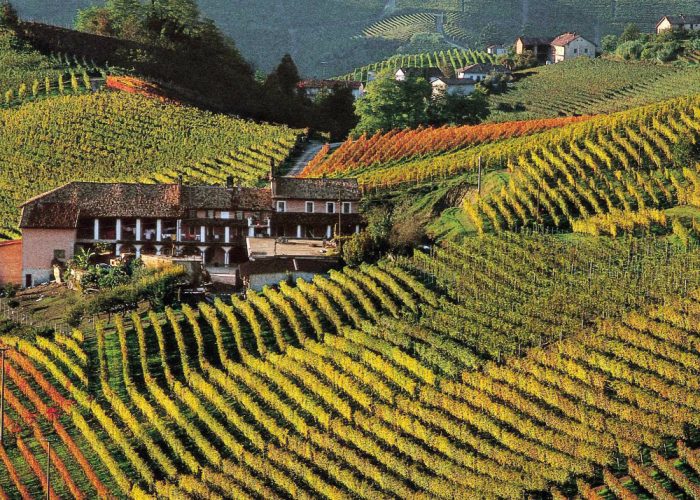 Nei vigneti si sperimenta la lottacontro la flavescenza dorata