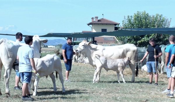 nutrici