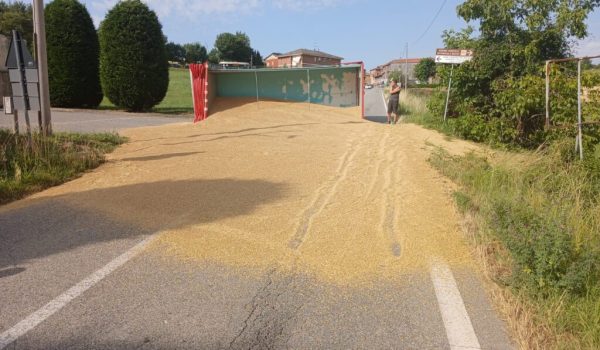 orzo