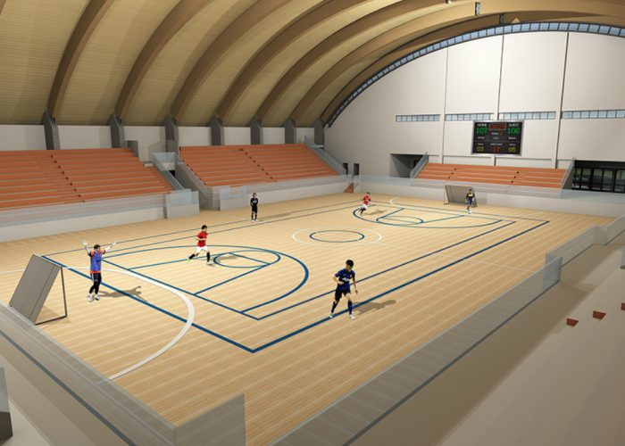 Palasport, eccoi cinque nodi da sciogliere