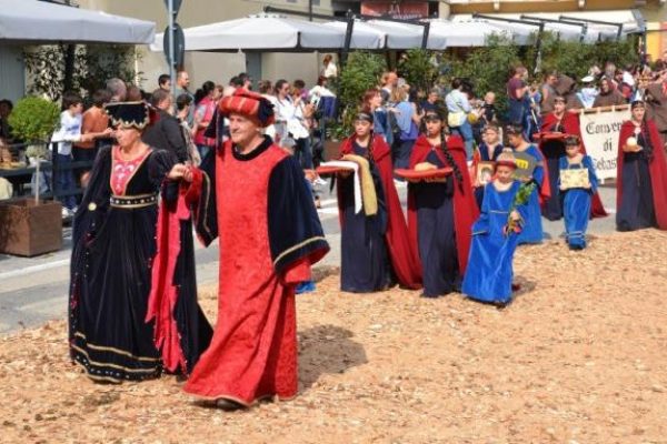 palio asini