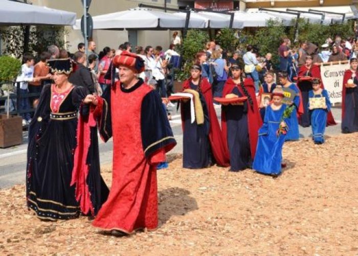 palio asini