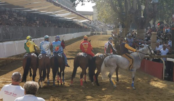 palio batteria