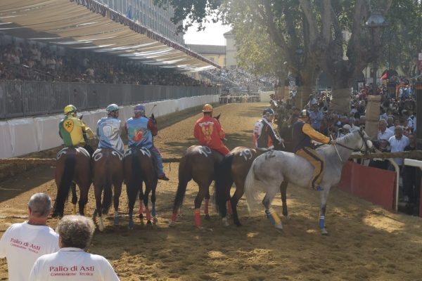 palio batteria