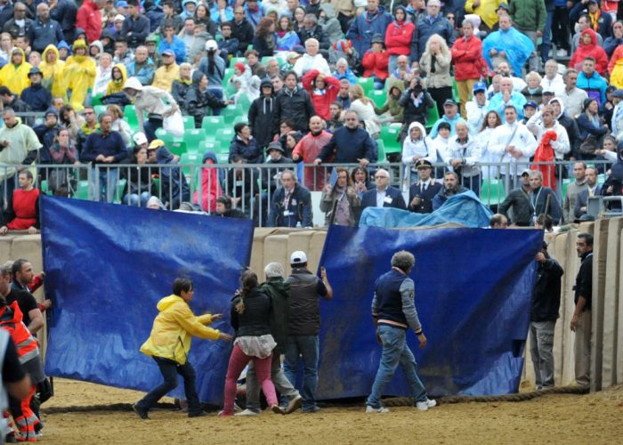 Palio, cavallo morto: il fantino Bartolettise la prende col mossiere