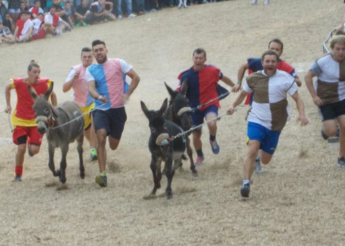Palio di Cocconato, sette asinisi contendono il drappo dei Radicati