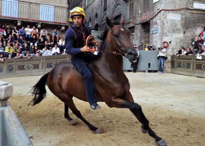 Palio, parla Massimo Coghe:«La Torretta mi ha spronato a ringiovanire»