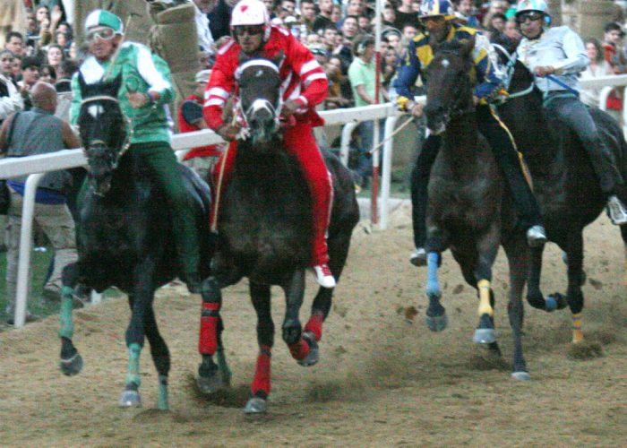 Palio, "Bucefalo" cambia casaccaNel 2013 sarà al canapo per Tanaro