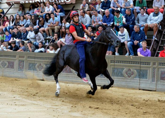 Palio, sarà Arri a correre per Moncalvo«Una chiamata che mi gratifica»