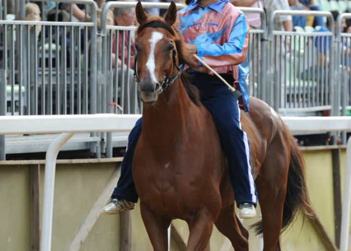 Palio, squalifiche e ammonizioniin arrivo per i fantini
