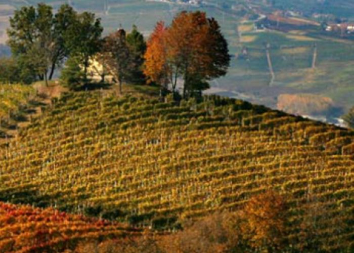 Pasquetta sulle colline astigiane con il Cai