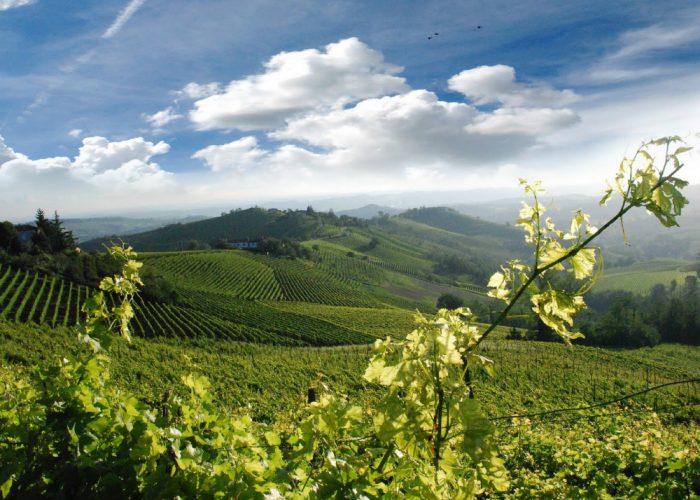 Pasquetta sulle colline, iscrizioni aperte per la camminata