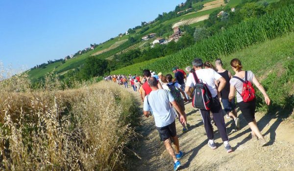 passeggiata rose costigliole