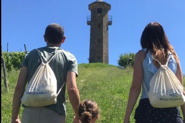 pic nic sito