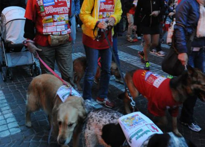 Previsti oltre tremila partecipantiE si può correre anche con Fido