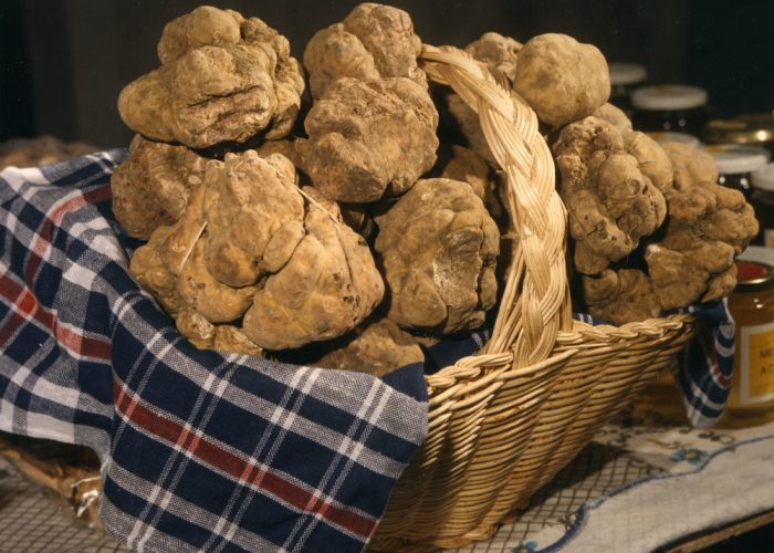 Profumi e sapori, tra le viedel centro di Asti il tartufo è il re