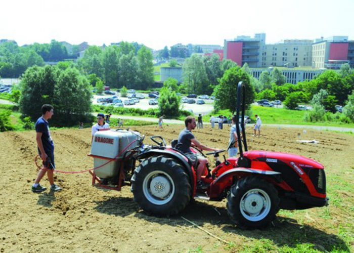 Prove antiflavescenzanei vigneti dellAgrario