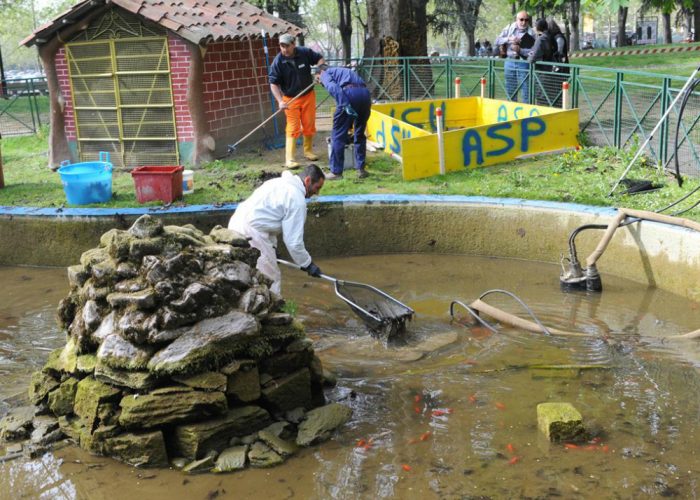 Pulizie al laghetto dei giardini pubblici, Asp e volontari curano le tartarughe