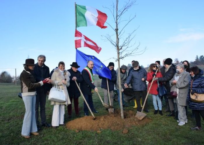 quercia astigiani