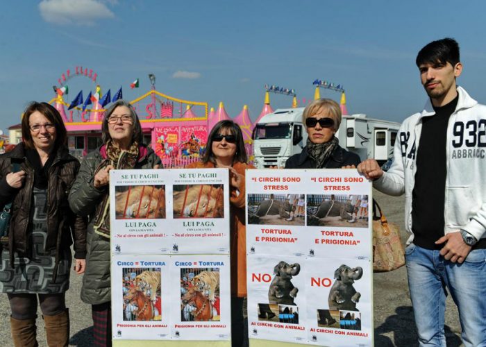 "Basta circhi che sfruttano gli animali"Sit in delle associazioni davanti al Martini