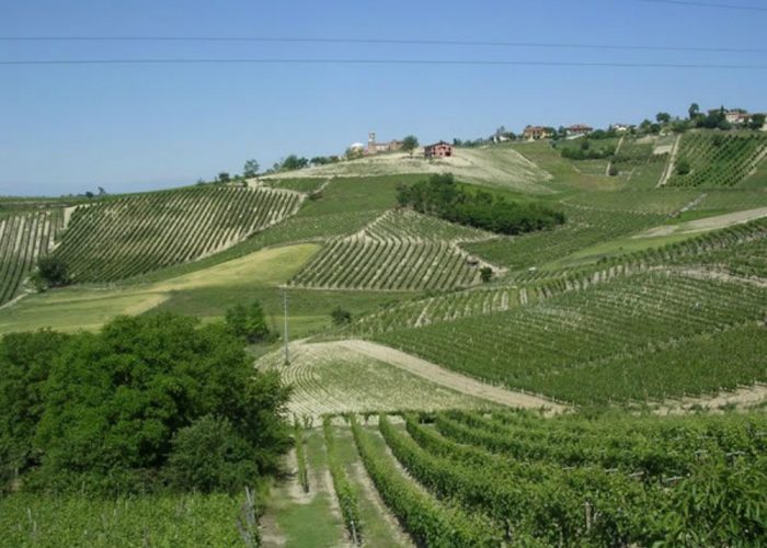 Rispetto dellambiente in agricolturaE tempo di viticoltura sostenibile