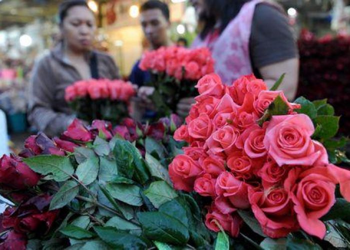 San Valentino/ Coldiretti: Uno su 3 regala fiori, nulla il 39%