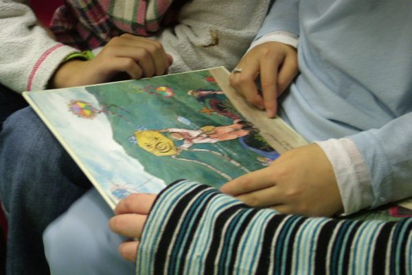 Schede libro dalla biblioteca della scuola