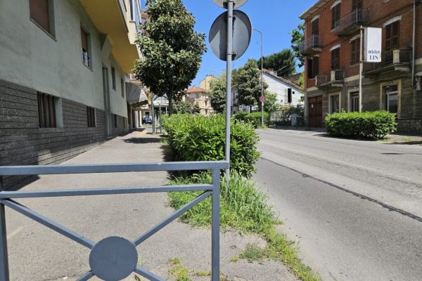siepe viale partigiani
