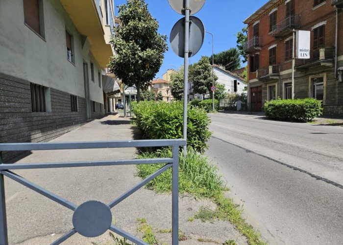 siepe viale partigiani