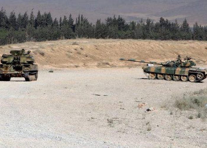 Siria/ Il regime di Assad invia rinforzi a Qusayr (Ong)