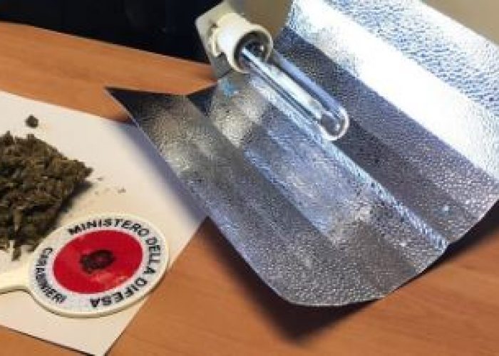 marijuana nizza monferrato
